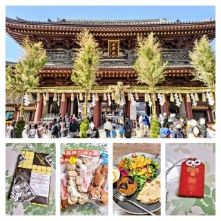 ����t�ɏ��w🎍