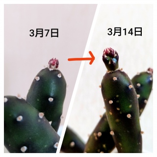 ��T�ԂŖ��炩�ɐ�������💡