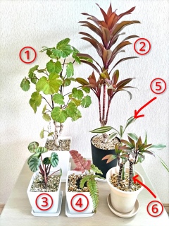 �t�̐A���Ǘ�