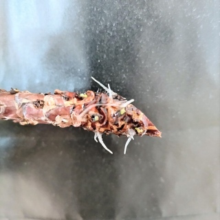 �������ω���🌱