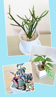 �݂�Ȑ��珇���łȂɂ��😊